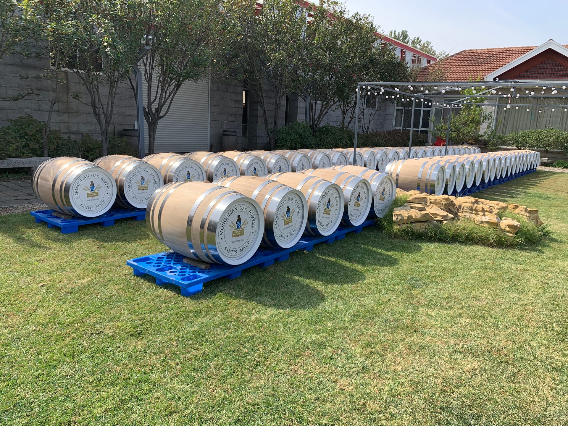 Säntis Malt — A collection of branded visible oak barrels