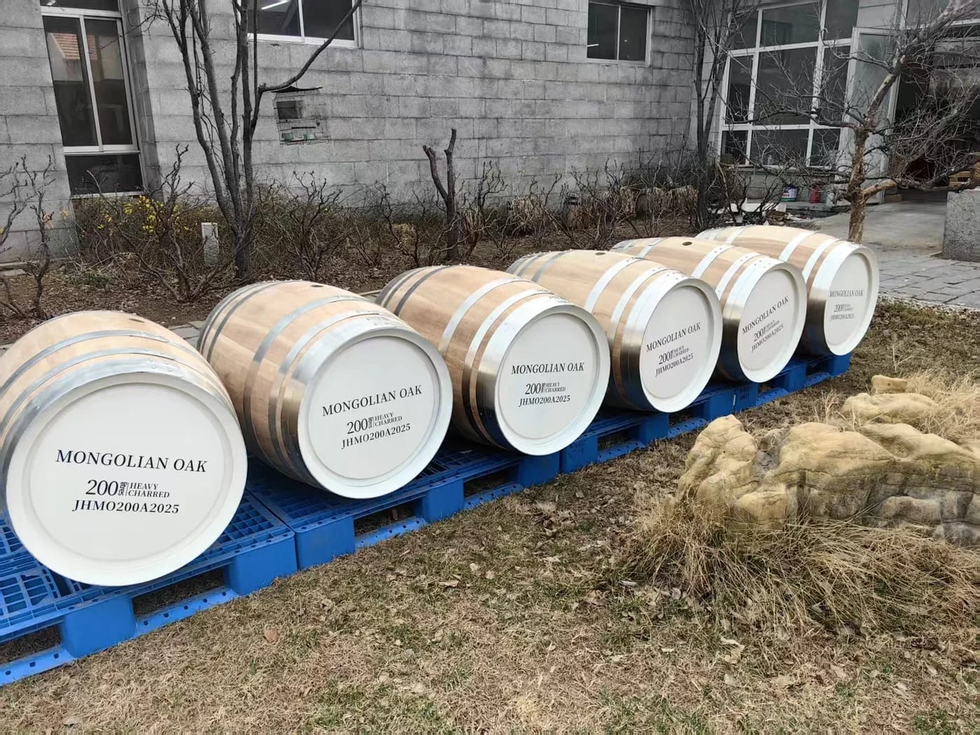Mongolian Oak Barrels — 200L oak barrels with stencilled specifications on the barrel heads