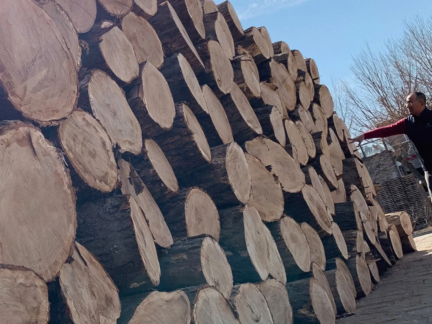 Premium American white oak raw materials stacked in Junhe factory