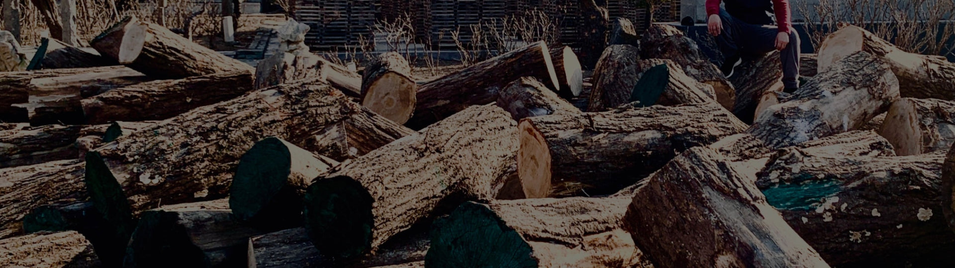 The founder of Junhesupply is sitting on a pile of wood.