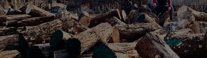 The founder of Junhesupply is sitting on a pile of wood.